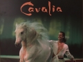 Cavalia